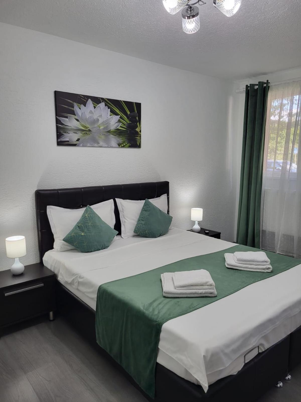 Mona Central Apartment Hunedoara Exterior foto